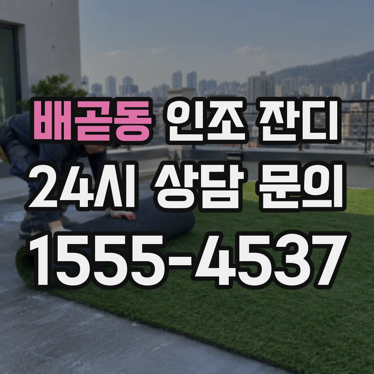 배곧동 인조 잔디