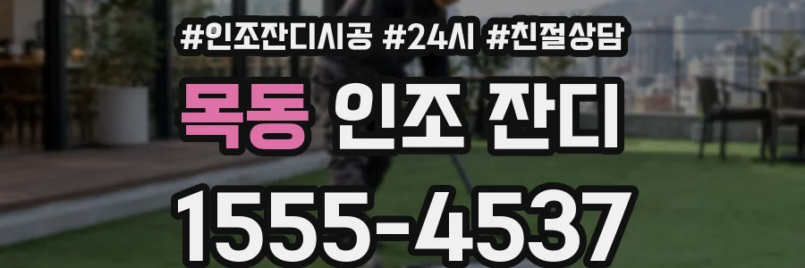 목동 인조 잔디
