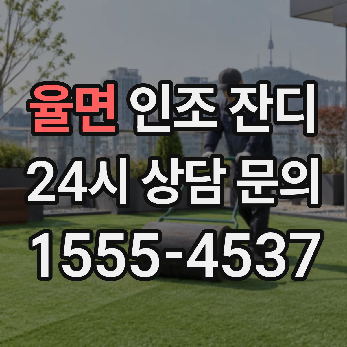 율면 인조 잔디