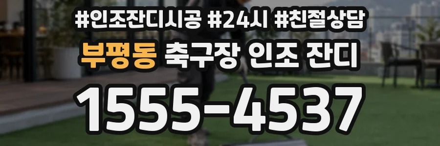 부평동 축구장 인조 잔디