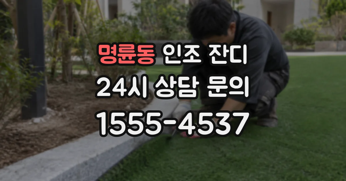 명륜동 인조 잔디