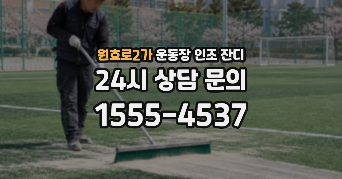 원효로2가 운동장 인조 잔디