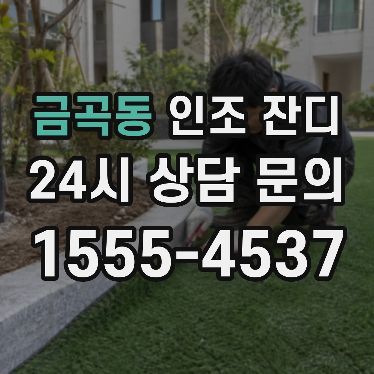 금곡동 인조 잔디