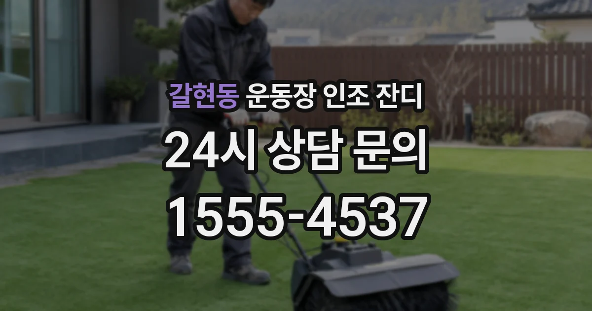 갈현동 운동장 인조 잔디