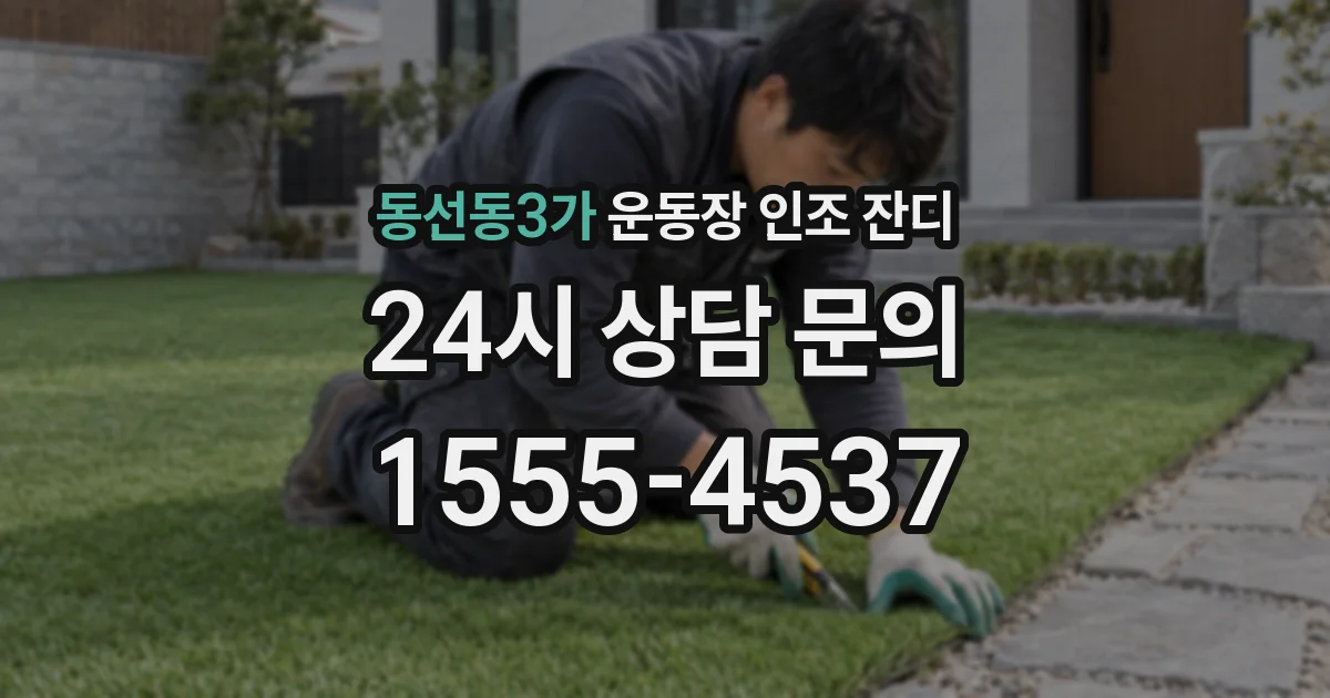 동선동3가 운동장 인조 잔디