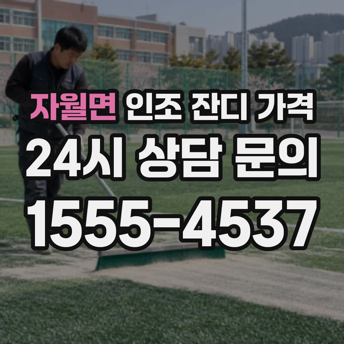 자월면 인조 잔디 가격