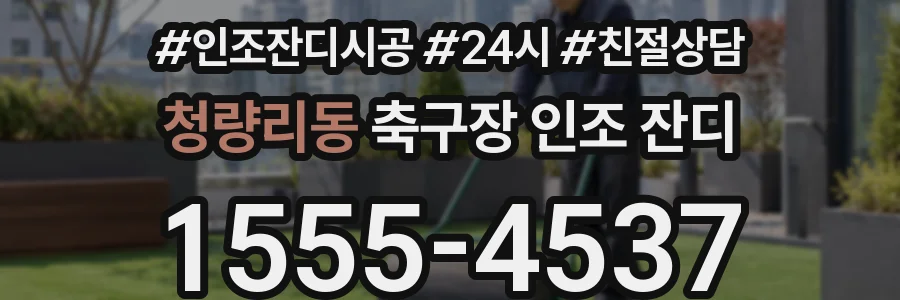 청량리동 축구장 인조 잔디