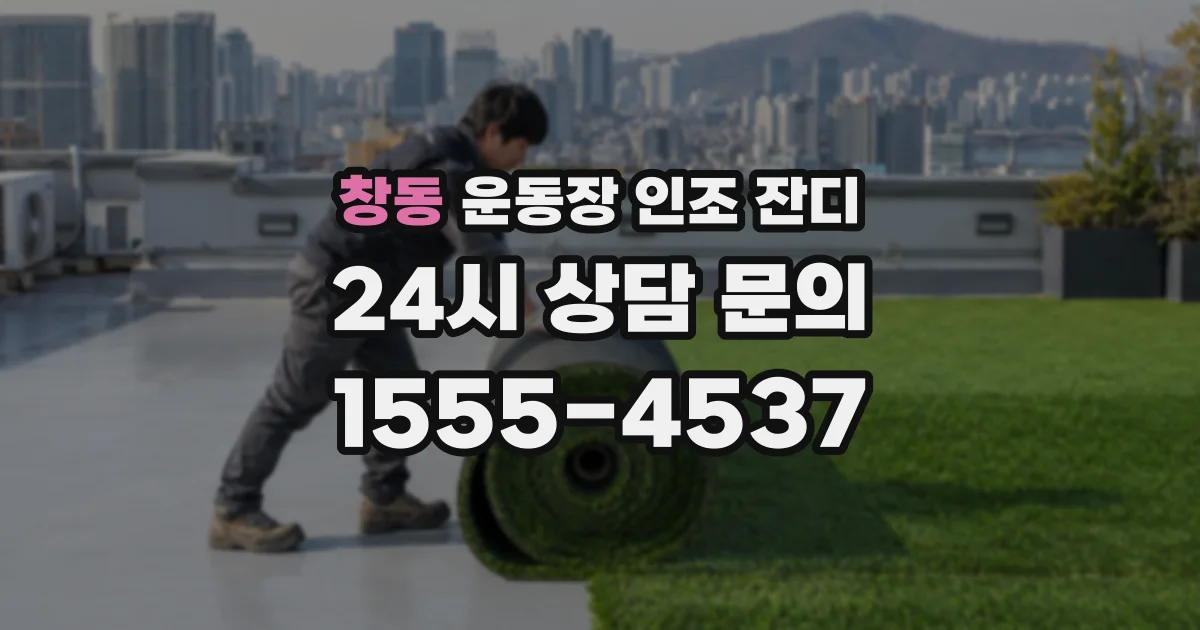 창동 운동장 인조 잔디