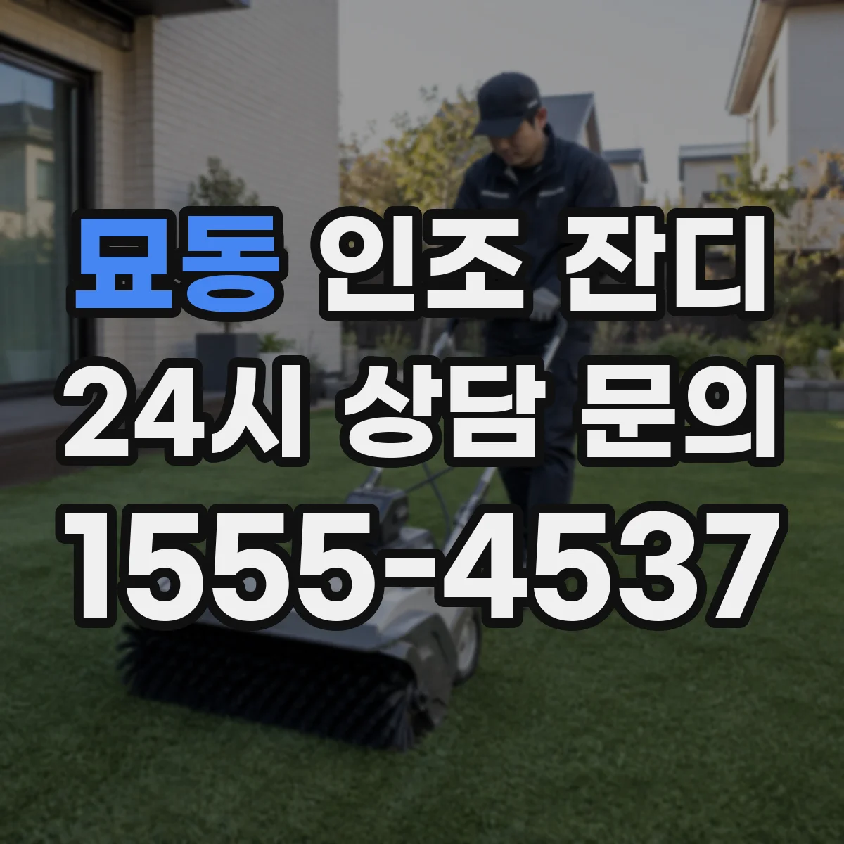 묘동 인조 잔디