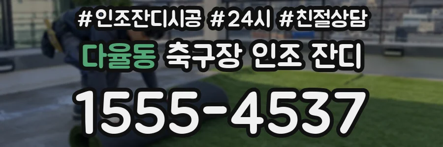 다율동 축구장 인조 잔디