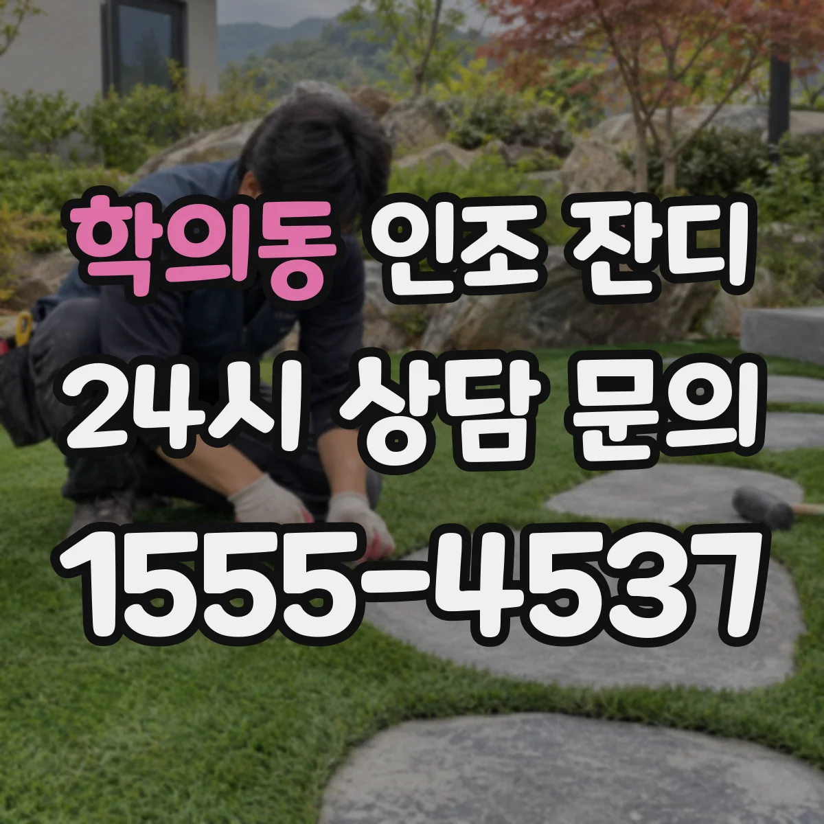 학의동 인조 잔디