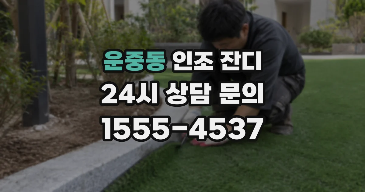 운중동 인조 잔디