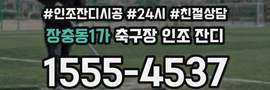 장충동1가 축구장 인조 잔디