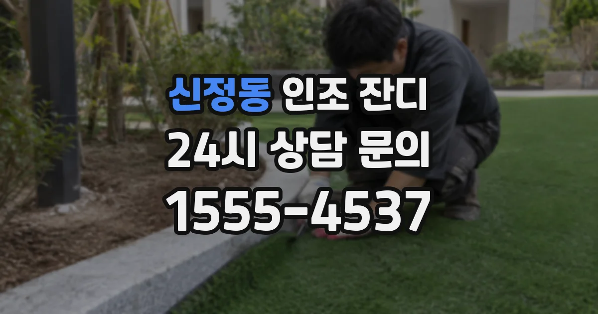 신정동 인조 잔디
