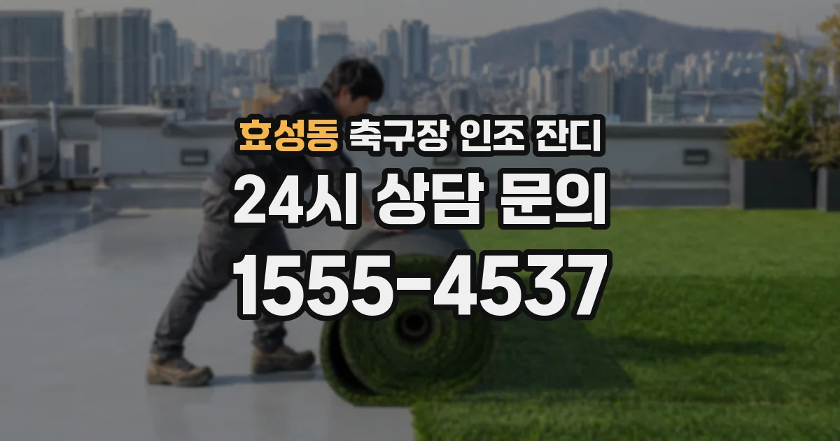 효성동 축구장 인조 잔디