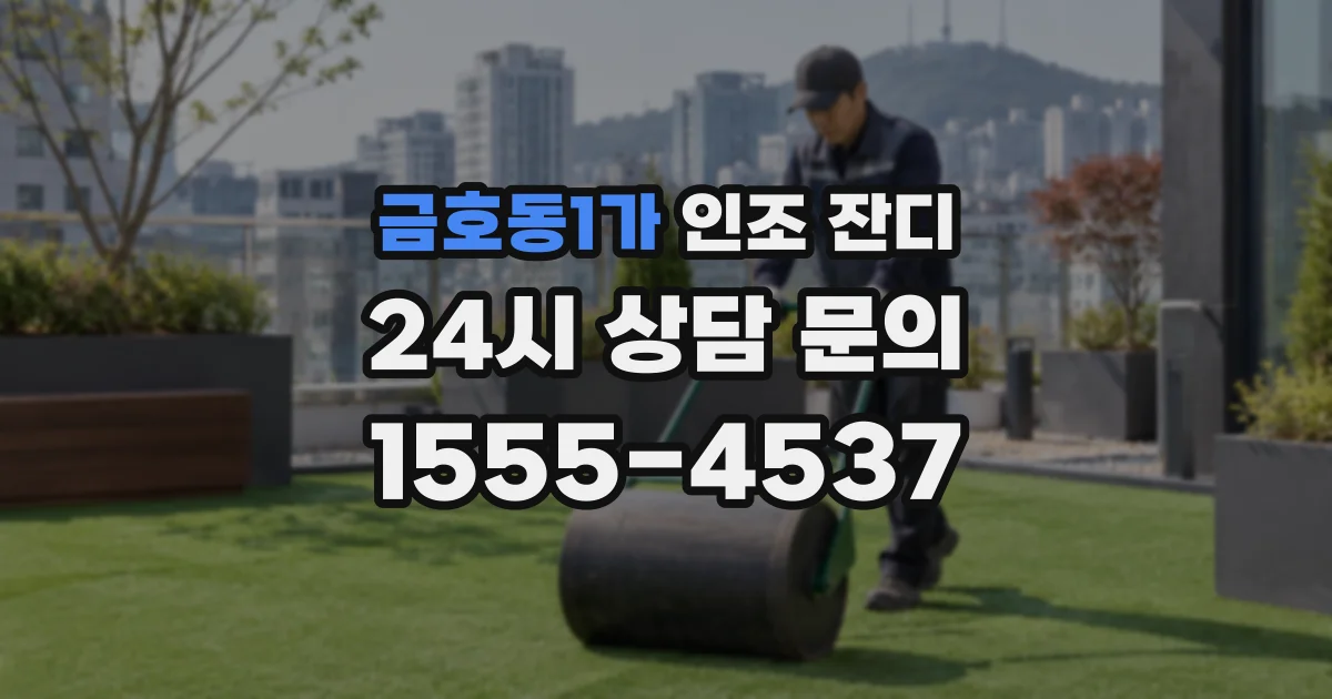 금호동1가 인조 잔디