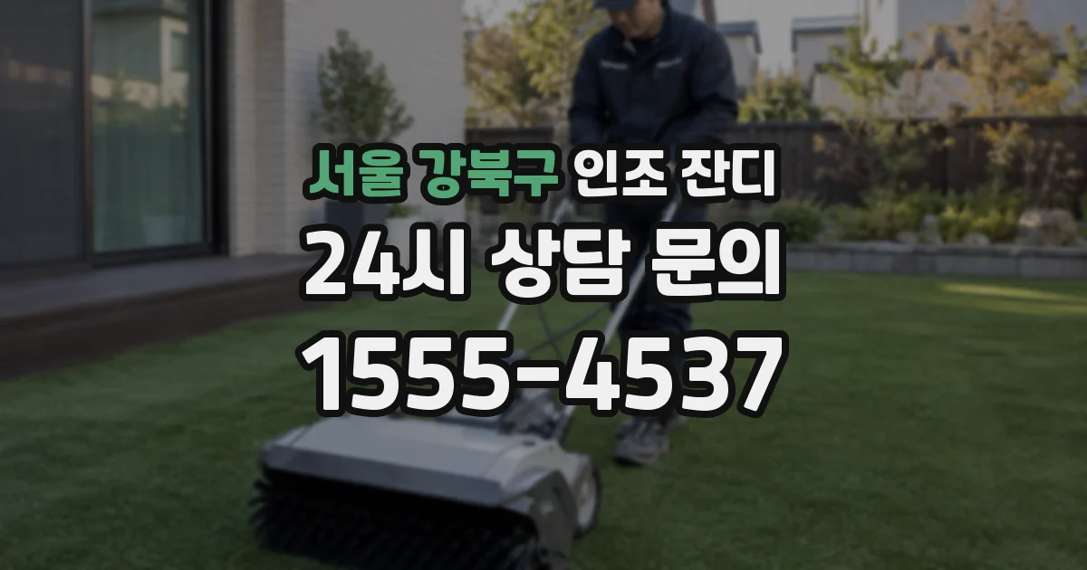 서울 강북구 인조 잔디