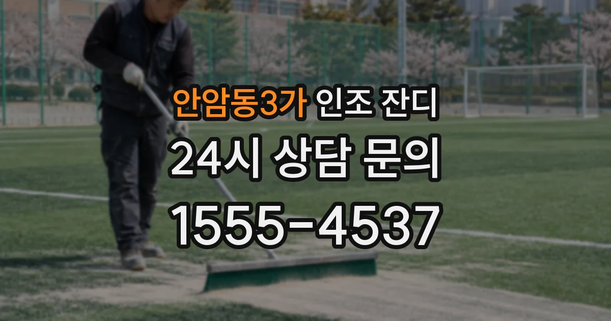 안암동3가 인조 잔디