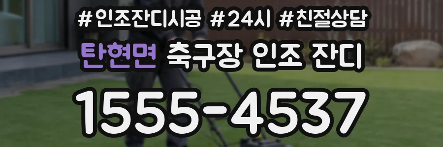 탄현면 축구장 인조 잔디