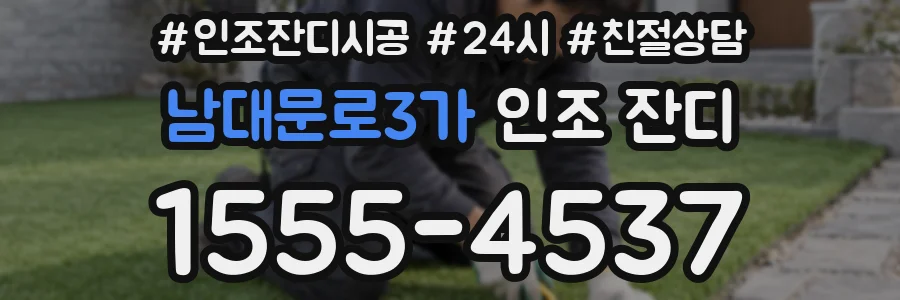 남대문로3가 인조 잔디