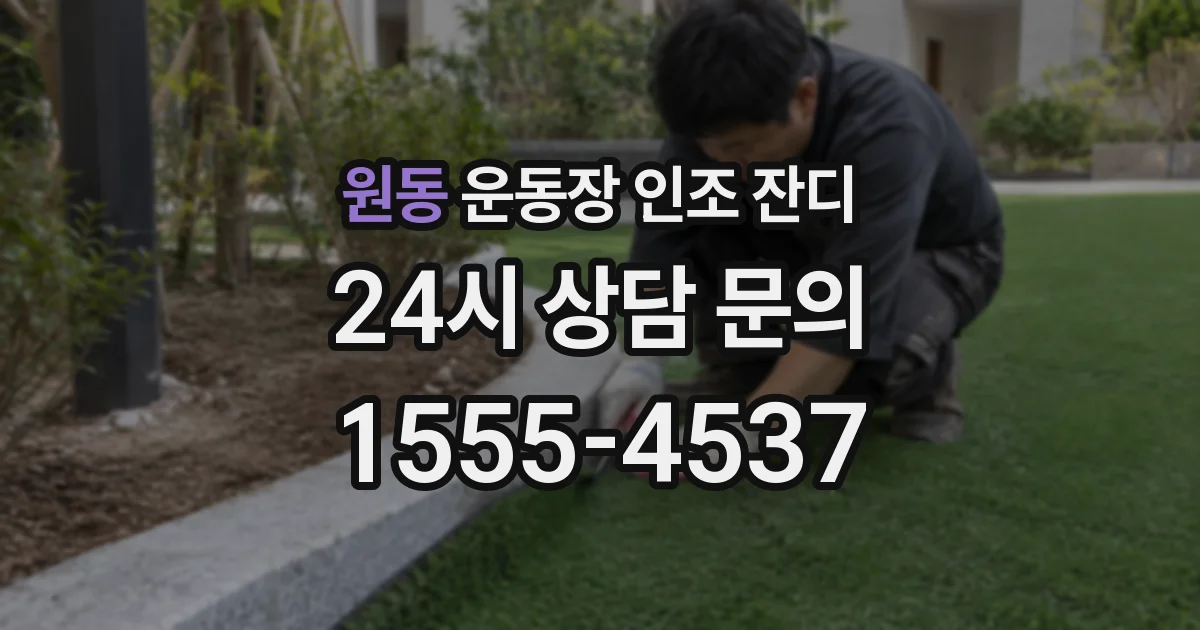 원동 운동장 인조 잔디