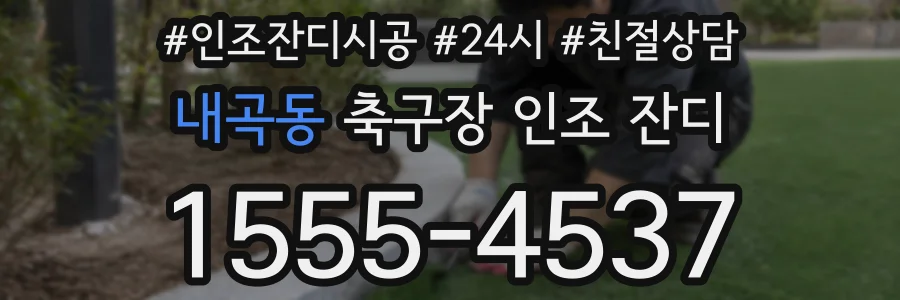내곡동 축구장 인조 잔디