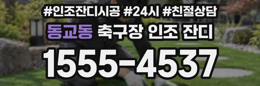 동교동 축구장 인조 잔디