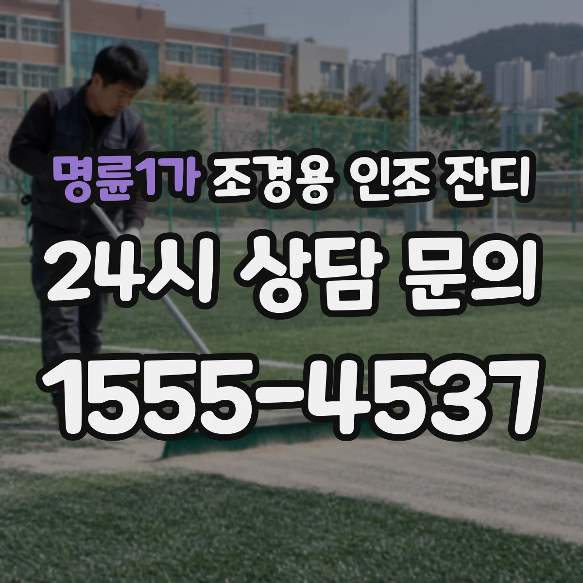 명륜1가 조경용 인조 잔디