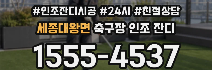 세종대왕면 축구장 인조 잔디