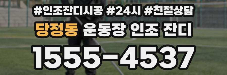 당정동 운동장 인조 잔디