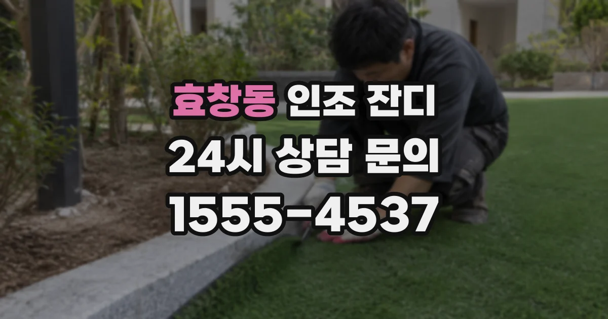 효창동 인조 잔디