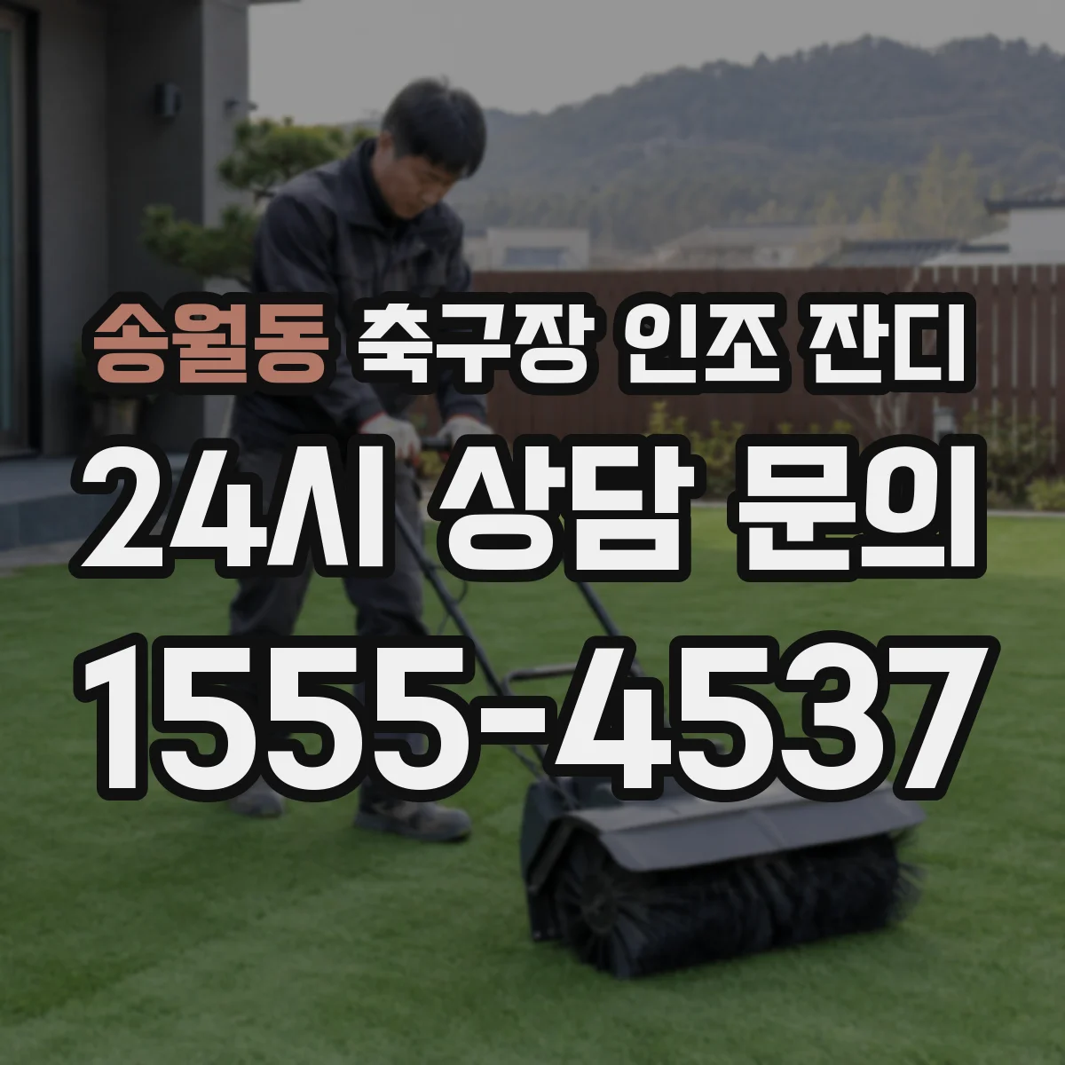 송월동 축구장 인조 잔디