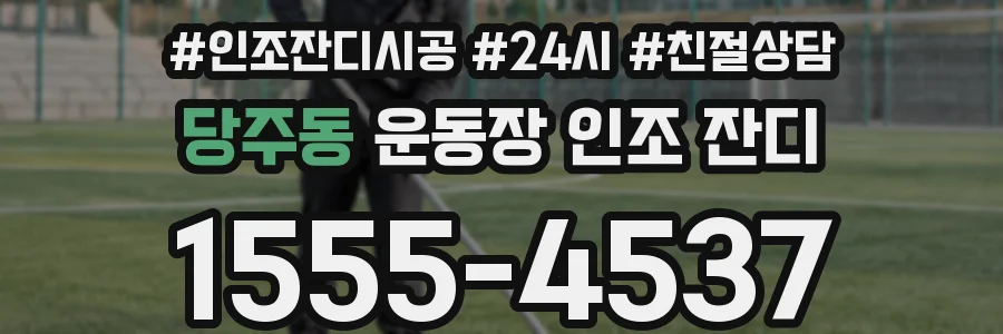 당주동 운동장 인조 잔디