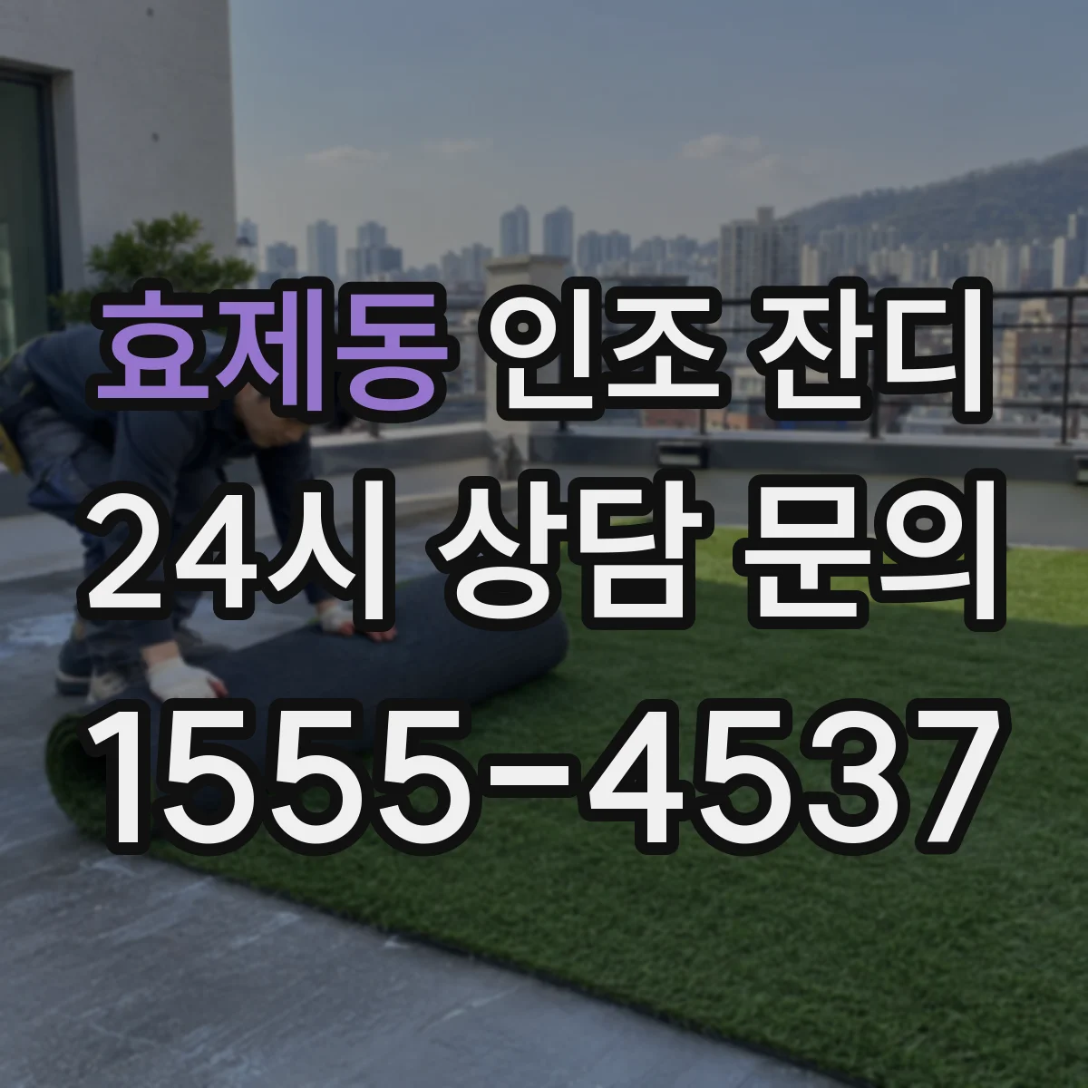 효제동 인조 잔디