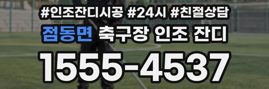 점동면 축구장 인조 잔디
