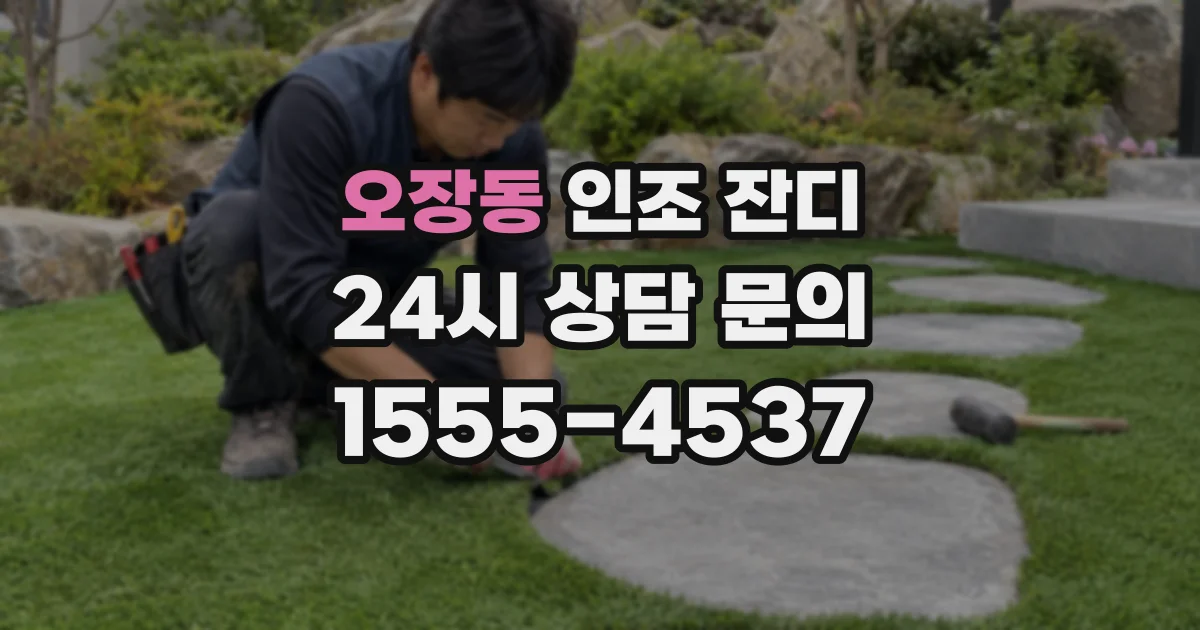 오장동 인조 잔디