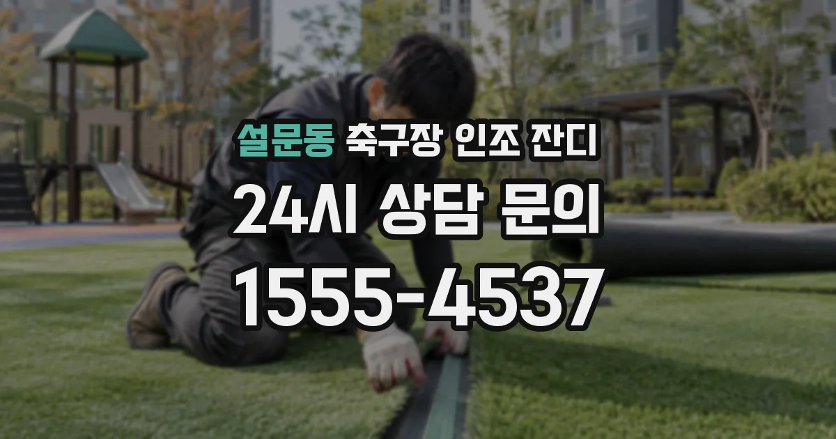 설문동 축구장 인조 잔디