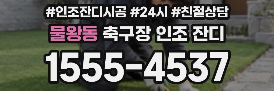 물왕동 축구장 인조 잔디