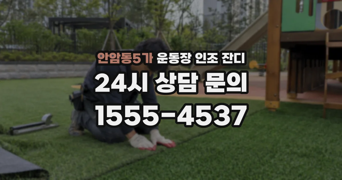 안암동5가 운동장 인조 잔디