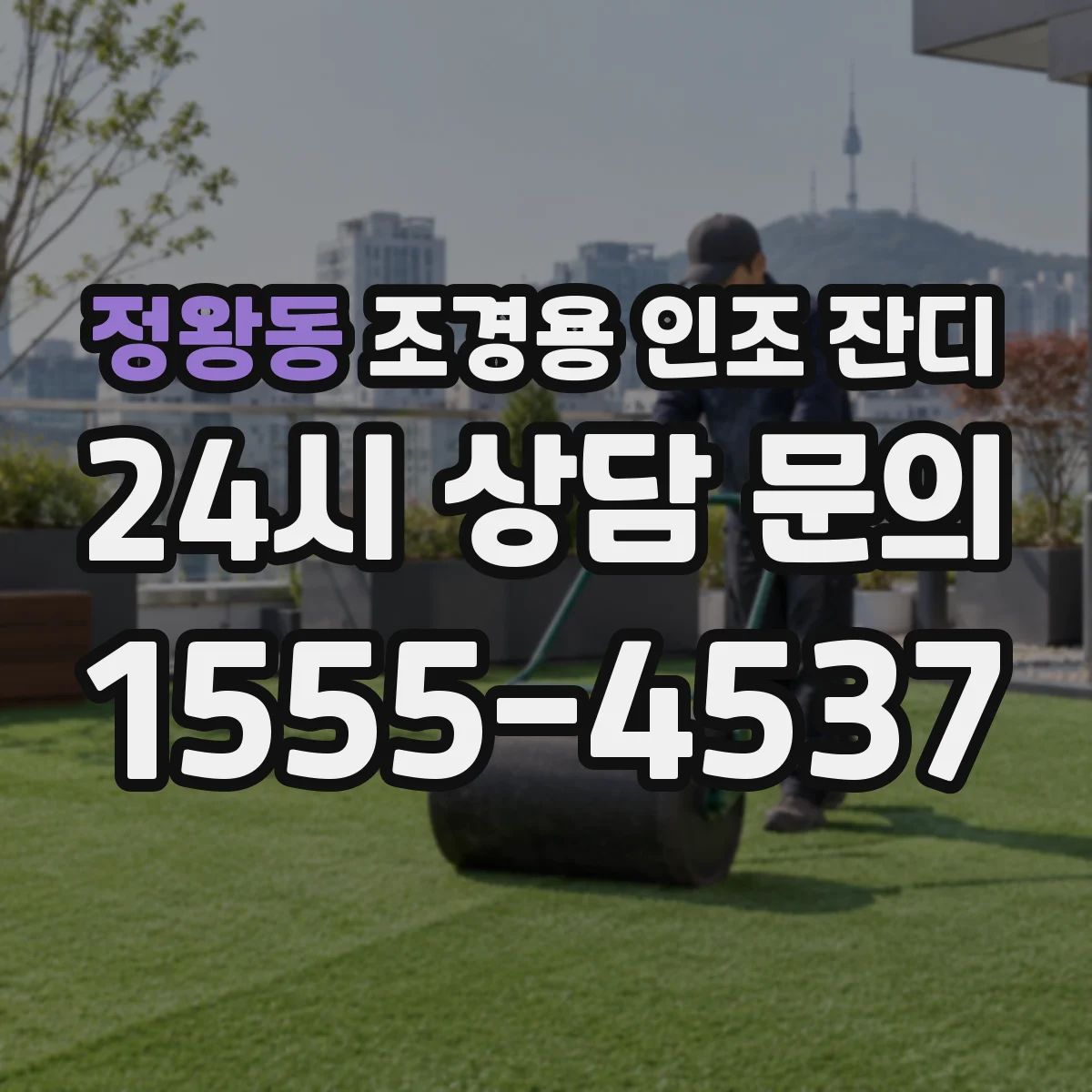 정왕동 조경용 인조 잔디