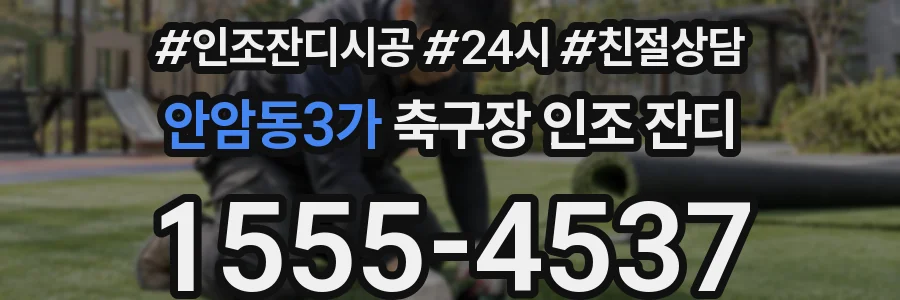 안암동3가 축구장 인조 잔디