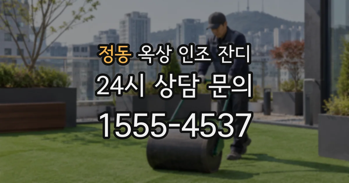 정동 옥상 인조 잔디
