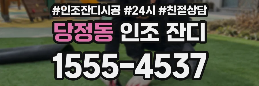 당정동 인조 잔디