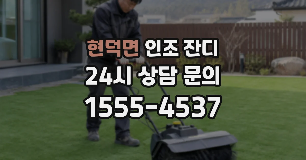 현덕면 인조 잔디