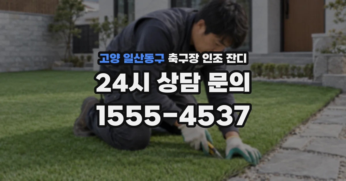 고양 일산동구 축구장 인조 잔디
