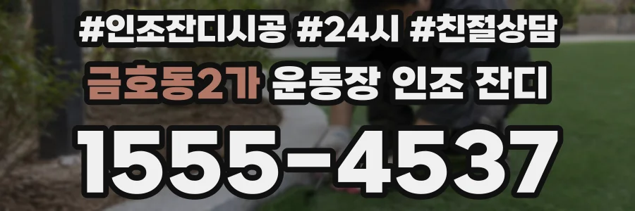 금호동2가 운동장 인조 잔디