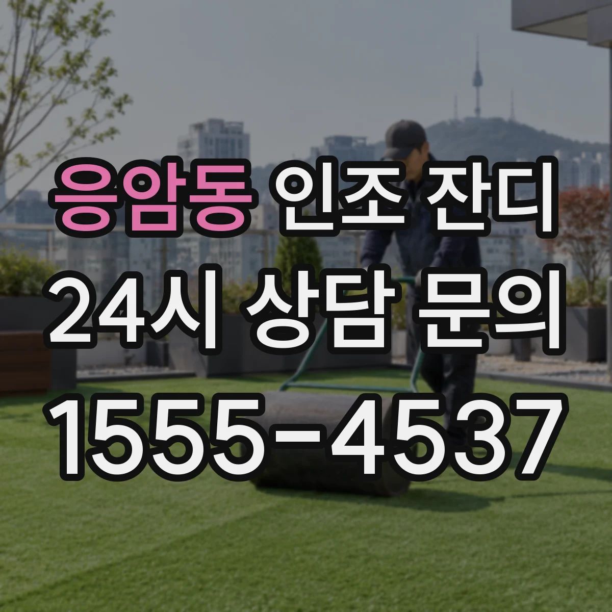 응암동 인조 잔디