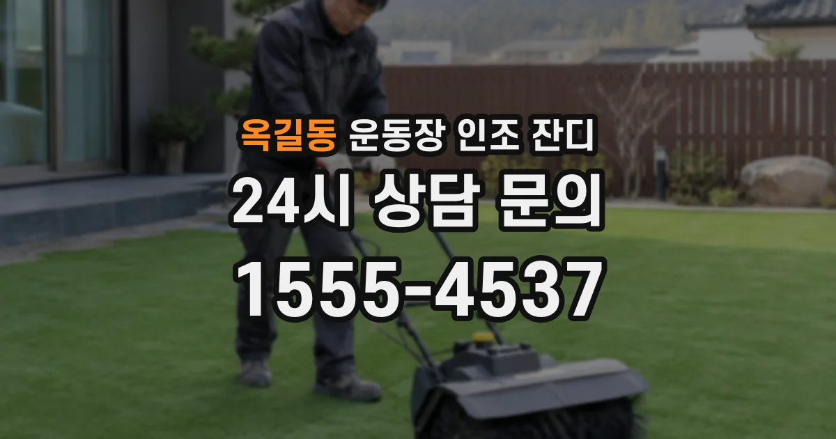 옥길동 운동장 인조 잔디