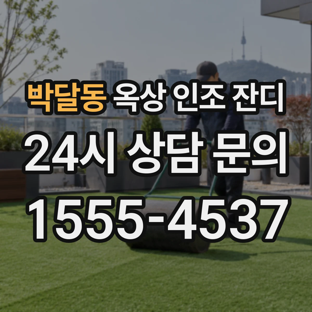 박달동 옥상 인조 잔디