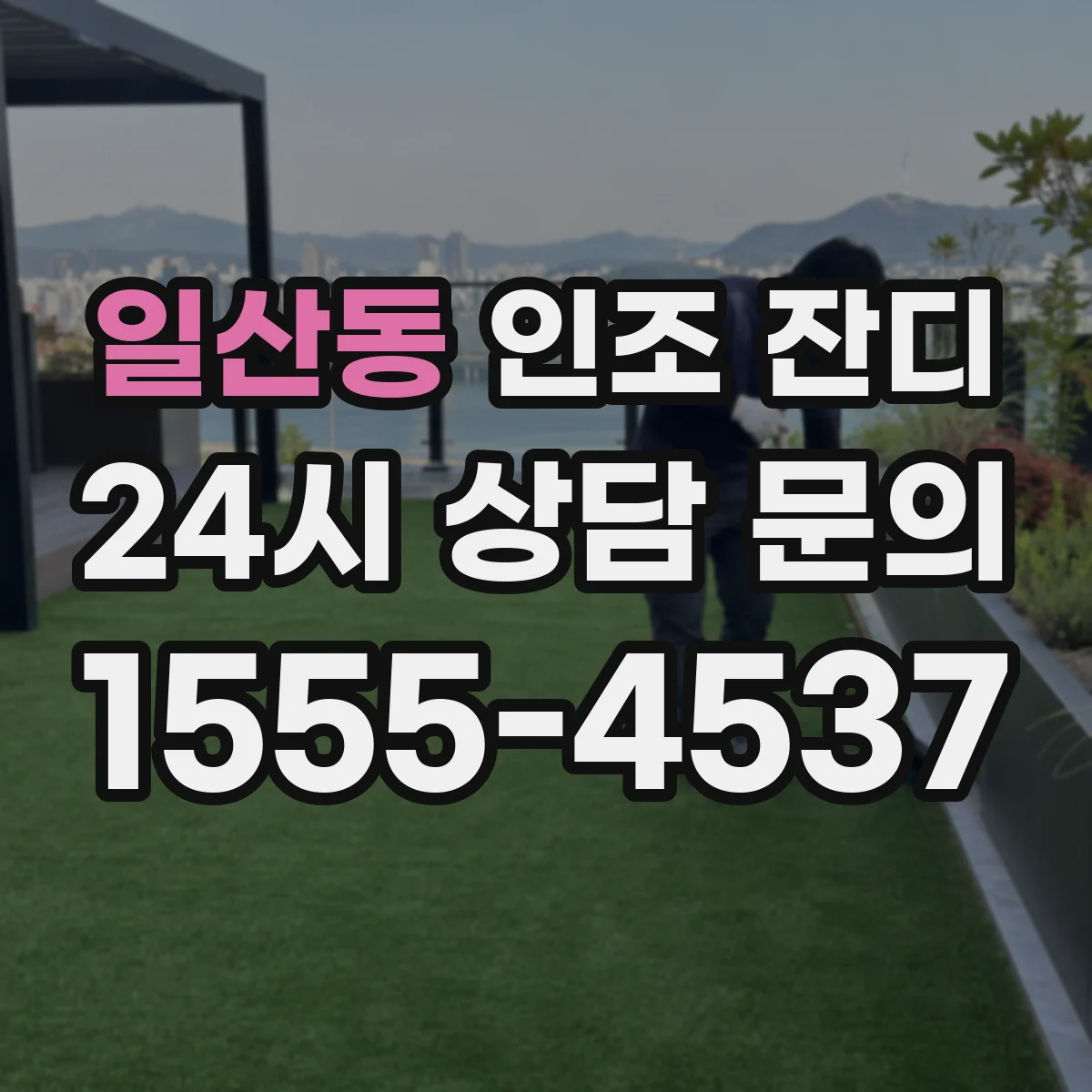 일산동 인조 잔디